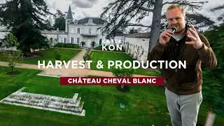 CH&Acirc;TEAU CHEVAL BLANC - HARVEST & PRODUCTION | &laquo;Bordeaux Unfiltered&raquo;