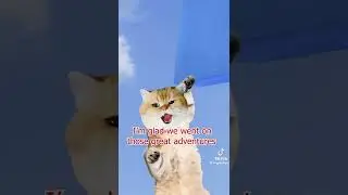 Cat spaceship adventure (NOT MINE)