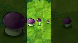 average GROUP OF 3 PLAYERS TOGETHER like #amytu pvz #plantsvszombies
