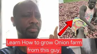 Starting Onion Farming in Africa with Raphael Farm in Ghana 🇬🇭 