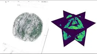 fMRI Data Visualization with Julia in Minutes