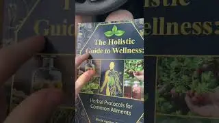 A comprehensive guide to holistic wellness and health #holistic