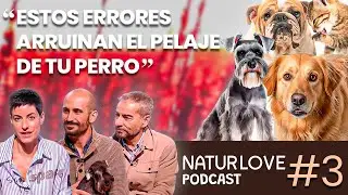 Hablemos de…  Los ERRORES que ENFERMAN la PIEL de tu PERRO | #3