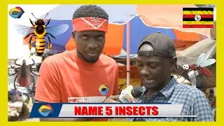 NAME 5 INSECTS | Street Quiz 🇺🇬 | Funny African Videos | Funny Videos | Try Not To Laugh |