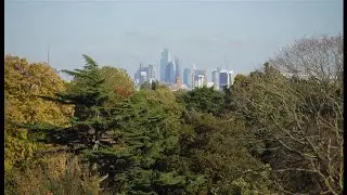 One-third of world&rsquo;s trees face extinction risk, report at COP16 says (Global) 28/Oct/2024