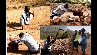 ቑ2 ይርጋለም - ማይ ኣቦይዝጊኳ ዝሓረማ ዳግም ሂወት እንትዘርእ
