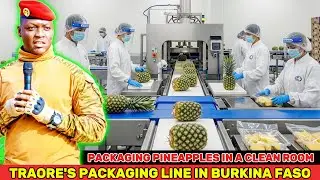 Burkina Faso&rsquo;s Cleanroom Pineapple Factories &mdash; Can Sahel Packaging Meet Export Standards? Traore'