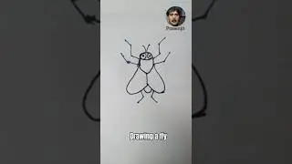 How to draw fly easy । Drawing fly for beginners #shorts #fly #kuchsikho