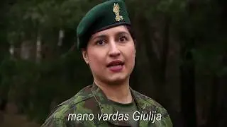 Armed Forces Day in Lithuania - November 23, 2017