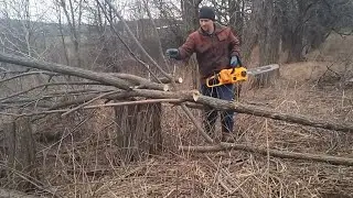 Работаю аккумуляторной пилой INGCO INDUSTRIAL в лесу 😎😎😎