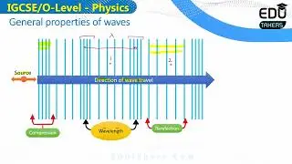 IGCSE 3.1.4- Longitudinal Wave