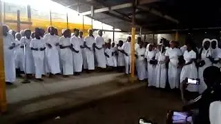 Ecodi Nkembo 