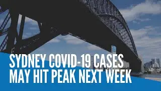 Sydney COVID-19 cases may hit peak next week