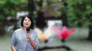 星影のワルツ