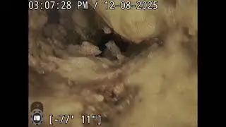 1514 Collyer st, Longmont co 80501 sewer inspection