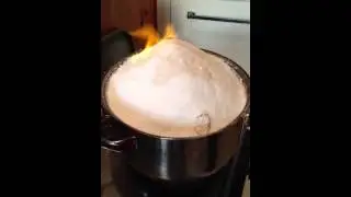 Salted Turkey experiment