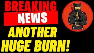 SHINJA BREAKING NEWS! ANOTHER 1 SEXTILLION TOKENS BURN - SHIBNOBI $8,7M WORTH TOKENS ARE BURNED!
