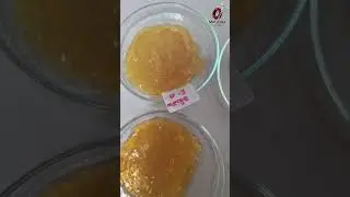 Self-healing materials from Chitosan extraction from shrimp and crab shells,MatEKU