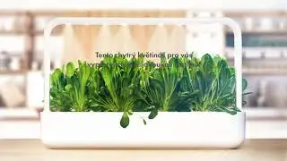 Click and Grow: Vypěstujte si vlastn&iacute; zeleninu