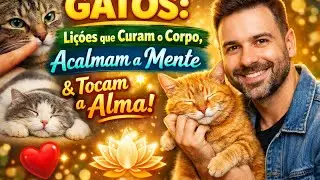 Gatos: Li&ccedil;&otilde;es que Curam o Corpo, Acalmam a Mente e Tocam a Alma