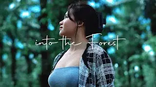 Into the Forest ｜Sony A6500 + Weebill S｜ Cinematic Video