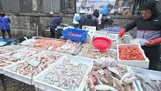 Catania .. Fish Market .. Sicily 🇮🇹