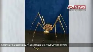 BIMBA VUOLE DISEGNARE SULLA TELA E DISTRUGGE UN&rsquo;OPERA D&rsquo;ARTE | 05/09/2025