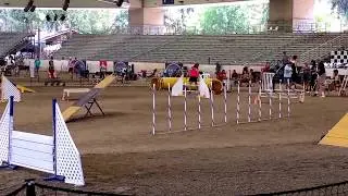 RIO - July 8, 2017 QQ 17!! - Christine Bishop & Debby Wheeler
