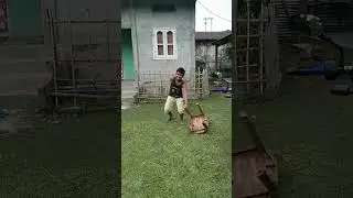 funny#youtubeshort#shortsfeed#dimpuboruah#techno vlogs
