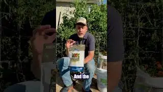 Emergency Storage Seeds: Stay Prepared with True Leaf Market 🌱 | Smart Survival Tips