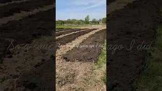 Want to Start flower farming? Advice for a new flower farmer! #flowerfarm