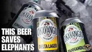 Botswana&rsquo;s Award-Winning Beer That&rsquo;s Saving Elephants & Empowering Farmers! 🍺🌍 | Snap Flash