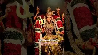 Day 1 #dasara #festival #devimaa #durgadevi #kanakadurga #dussehra #dasara2025