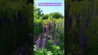 Ядовитая красота.
