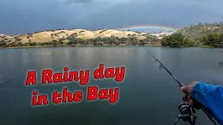Rainy day fishing for striped bass in the SF Bay Area