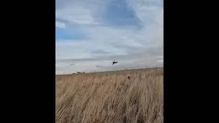 ⚠️ winter weather advisory ⚠️ #birdhunting #pheasant #hunting #southdakota