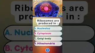 Ribosomes Production #neet #neetbiology