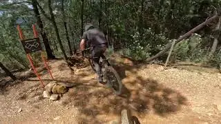 MYSTIC DH - BRIGHT 2024