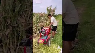🌽 Мощная машина для резки кукурузного корма | Простой способ приготовления корма для животных