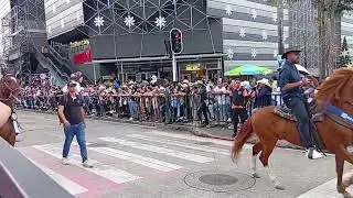 Empezó la feria de Manizales con la cabalgata 