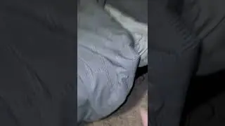 Springtrap Attacked In Bedroom