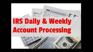 IRS Daily and Weekly Account Processing
