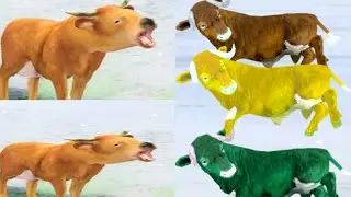 Wild Bull FamilySurvival Sim👿 Game Play video👿Guru👿shell👿 Nice game play video😈RK Rubel@rkrubelrk😈