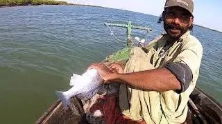 Chan Creek Fishing From Ibrahim Hedri Karachi | Mangroves Fishing