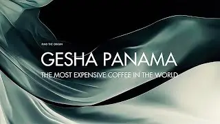 Gesha Panama - cà phê đắt nhất thế giới | Gesha Panama - the most expensive coffee in the world