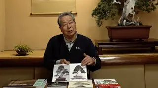 Bonsai techniques: Bonsai display developments (Keido) by Kunio Kobayashi