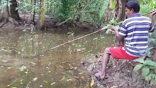 Amazing Best Hunting wild Style Walking Fishing Video