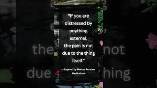 Your Mind Creates the Pain #shorts #quotes #stoicism #fyp #emotional #emotionalshorts