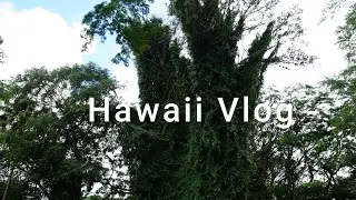 My First Hawaii Hike Was a Success! Lulumahu Falls Adventure