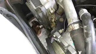Cara ganti Waterpump pada Corona absolute 2000